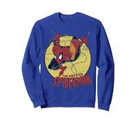 Marvel The Amazing Spider-Man Vintage Jump Logo Sudadera, Unisex para Adultos, Azul Real, M