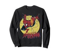Marvel The Amazing Spider-Man Vintage Jump Logo Sudadera, Unisex para Adultos, Negro, XL