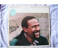 Marvin Gaye / Dream Of A Lifetime