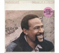 Marvin Gaye - Dream Of A Lifetime