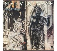 Marvin Gaye Here, My Dear (CD) Album (Importación USA)