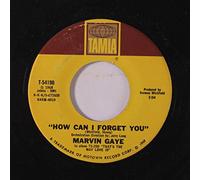 Marvin Gaye - How Can I Forget