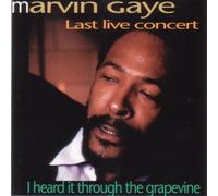 Marvin Gaye - I Heard It through The Grapevine