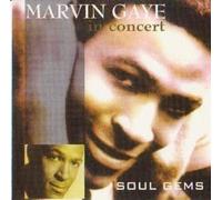 Marvin Gaye - in Concert [Import]