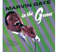 Marvin Gaye In the Groove (Vinyl) 12" Album (Importación USA)