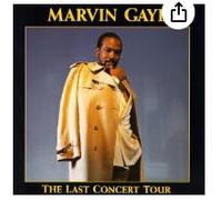 Marvin Gaye - Last concert tour (1991)