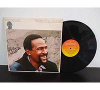 Marvin Gaye - Marvin Gaye: Dream Of A Lifetime
