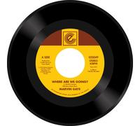 Marvin Gaye - Where Are W Going? / Woman Of The World [Vinilo]