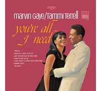 Marvin Gaye - You're All I Need