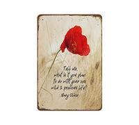 Mary Oliver - Letrero de metal con texto en inglés "Tell Me What Is It You Plan To Do With Your One Wild Precious Life" Self Love, regalo para mujeres y hombres, 8 x 12 pulgadas, póster de metal en