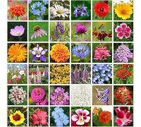 Más de 10.000 variedades de flores silvestres premium, tolerantes a la sequía y llenas de vitalidad, crean sin esfuerzo una exuberante vegetación.