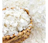 Más de 2500 pétalos de hortensia blancos secos reales de Lvory - 1.7 onzas preservadas de flores naturales para decoración de bodas, confeti de fiesta, centros de mesa de cena, manualidades