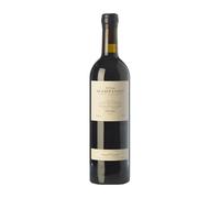 Mas Martinet Clos Priorat Crianza Botella Magnum 1,5 L Vino tinto