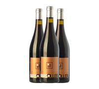 Mas Oller Plus Empordà Crianza 75 cl Vino tinto (Caja de 3 Botellas de 75 cl)
