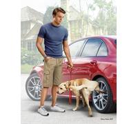 (MAS24049) - Masterbox 1:24 - Bart and Radl (dog). What he really thinks