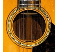 Masaharu Fukuyama - Tama Riku [Requ]