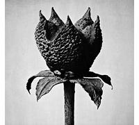Masayoshi Fujita - Book Of Life