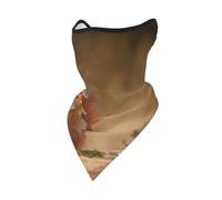 Máscara Cortavientos de Ardilla roja (Sciurus), para Invierno, para Motociclista