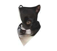 Máscara Cortavientos para Border Collie, Polaina para el Cuello, para Motociclistas de Invierno