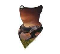 Máscara Cortavientos para Caballo Corriendo por la Pradera, Polaina para el Cuello, para Motociclista de Invierno