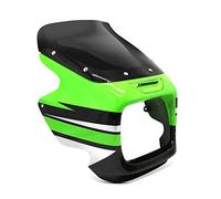 Mascara del Faro + Parabrisa Compatible para Kawasaki ZRX 1100 97-00 Zaddox