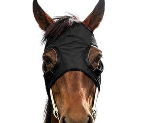 Máscara internacional de caballos - intermitente de caballo, 1 pieza, llamada de animales realista, señuelo de caza para acechar al aire libre, bloqueo acústico enfocado