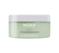 Máscara Noah Yap restaurador del cabello tratamiento con ácido hialurónico 250 ml