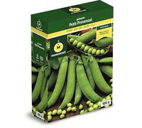 Mascarell Semillas, GUISANTE PETIT PROVENZAL, Semillas Leguminosas, Fácil de Cultivar en Casa, 100 G.