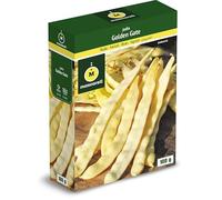 Mascarell Semillas, JUDÍA GOLDEN GATE, Semillas Leguminosas, Fácil de Cultivar en Casa, 100 G.