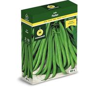 Mascarell Semillas, JUDÍA PARKER, Semillas Leguminosas, Fácil de Cultivar en Casa, 100 G.