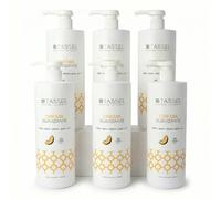 Mascarilla Capilar Profesional 1L - Tratamiento Nutritivo, Hidratante y Reparador para Cabello Seco o Dañado, Suavidad y Brillo Intenso (1L - Paquete de 6, Melón)