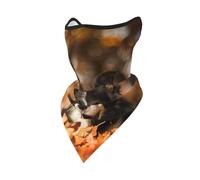 Mascarilla Cortavientos Border Collie Bokeh Autumn Black Border Collie, Polaina para el Cuello, para Motocicleta, de Invierno