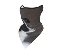 Mascarilla Cortavientos para Nieve con diseño de Perro Border Collie, Polaina para el Cuello, para Motociclista, de Invierno
