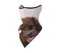 Mascarilla Cortavientos para Perros Labrador marrón y Lavanda, Polaina para el Cuello, para Motociclistas de Invierno