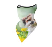Mascarilla Cortavientos para Perros pequeños y Lindos de Shih Tzu, Ideal para el Campo, para Motociclistas y para el Invierno.