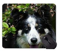 Mascotas Pastor Terrier Animales Alfombrilla de ratón Antideslizante, Border Collie Alfombrilla de ratón con Borde Cosido