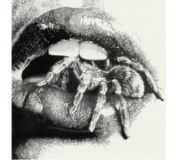 MASHEENA - LET THE SPIDERS IN [Vinilo]