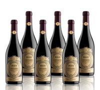 MASI "COSTASERA" 2021 | Amarone della Valpolicella Classico DOCG | 6x750 ml | Appassimento Expertise | Caja de 6 botellas
