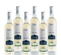 Masi Tupungato "PASSO BLANCO" 2025 | Vino Bianco di Argentina BIO | 6x750 ml | Appassimento Expertise | Caja de 6 botellas