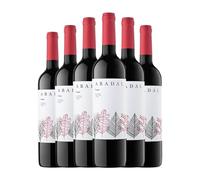 Masies d'Avinyó Abadal Franc Pla de Bages Joven 75 cl Vino tinto (Caja de 6 Botellas de 75 cl)