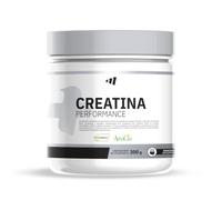 MASmusculo - Creatina Performance 300g - Creatina Creapure + Minerales + Electrolitos + AstraGin - Máximo Rendimiento e Hidratación - Aumento Masa Muscular - Sabor Manzana Verde