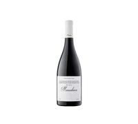 Massaluca Negre 2024