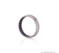 Massi Anillo DENTADO para NUCLEO Ratchet