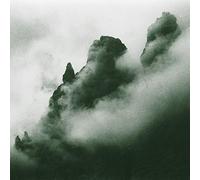 Massimo Toniutti - Il Museo Selvatico [Vinilo]