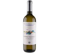Massobianco Maremma Toscana DOC Vino Blanco Italiano Fattoria Mantellassi (1 botella 75 cl.)