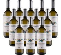 Massobianco Maremma Toscana DOC Vino Blanco Italiano Fattoria Mantellassi (12 botellas 75 cl.)