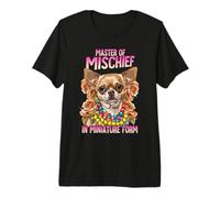 Master of Mischief in Miniature Form Chihuahua Camiseta Premium