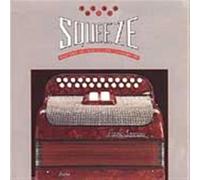 Master of The Celtic Accordion - The Big Squeeze - Master of The Celtic Accordion GLCD 1093