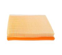 Master-sport Germany 2493-LF-PCS-MS - Filtro de aire