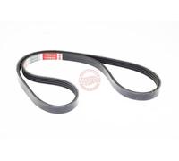 MASTER-SPORT 4PK910-PCS-MS Correa trapecial poli V